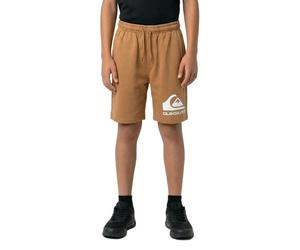 Quiksilver Short De Sport Easy Day Youth