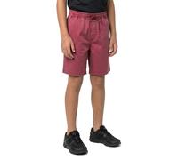 Quiksilver Short Taxer