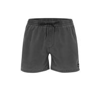 Quiksilver Everyday Surfwash Volley 15´´ Swimming Shorts Marron M Homme