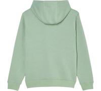 Quiksilver Pantalon Denim COMP Logo Hoodie Youth Garçon 8-16 Ans Vert