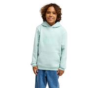 Quiksilver Sweat à Capuche Comp Logo