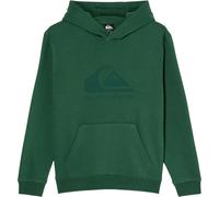 Sweatshirt Ã capuche enfant Quiksilver Comp Logo Vert 12 ans