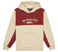 Sweatshirt Ã capuche enfant Quiksilver Knowledge Area Beige 16 ans