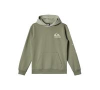 Quiksilver Sweat à Capuche Omni Logo pour Jeunes Pull-Over, Spray de mer, 16 Ans Garçon