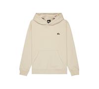 Quiksilver Basic Hoodie Blanc 16 Years Garçons