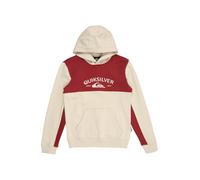 Vêtements Quiksilver Knowledge Area Hoodie Youth pour 10A Beige
