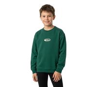 Quiksilver Sweat-shirt Salt Water Graphic
