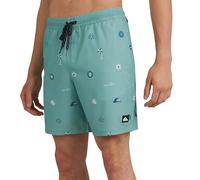 Quiksilver Swimwear Regular Fit Stretchable Comfort Liner Maillot de Bain, Design Graphique : Gris Jade, Large Homme