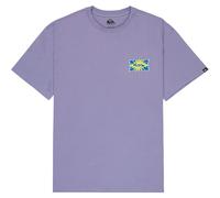 Quiksilver T-shirt à Manches Courtes Ev Starfish Stamp