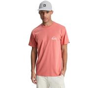 Quiksilver T-Shirt Manche Courtes EV Mini Logo SS Homme Rose