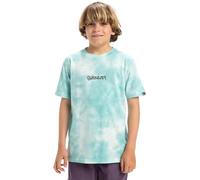 Quiksilver T-Shirt Manche Courtes Frog Ritual SS Tee Youth Bleu 8