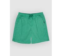 Quiksilver Taxer Walk 19´´ Shorts Vert S Homme