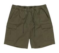 Vêtements Quiksilver Taxer Cargo Ws EQYWS03879 pour Accessoires M Vert
