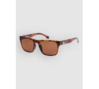 Quiksilver Time Box Shiny Tortoise Lunettes de soleil marron Uni
