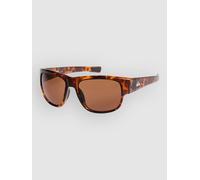 Quiksilver Time Box Shiny Tortoise Lunettes de soleil marron Uni