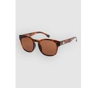 Quiksilver Time Box Shiny Tortoise Lunettes de soleil marron Uni
