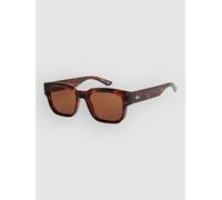 Quiksilver Time Box Shiny Tortoise Lunettes de soleil marron Uni