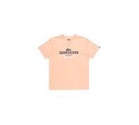 Quiksilver Typed Put T-Shirt EQYZT08064-MEF0 T:M C:SAUMON S