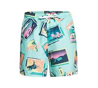 Quiksilver Vacancy 16" - Short de Bain pour Homme Short de Bain Homme Beach Glass FR: L (Taille Fabricant: L)
