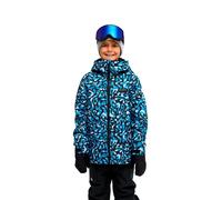Quiksilver Veste Mission Ptd