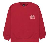 Quiksilver - Women's Standard Crew - Pull - XL - burnt russet