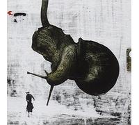 Quilibri - Il Drago E' Astratto [Import]