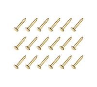 Quincaillerie clous en acier, petits clous, petit matériel en acier au carbone - pour le travail du bois domestique, ton doré (1,2 x 6 mm)