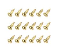 Quincaillerie clous en acier, petits clous, quincaillerie en laiton - pour le travail du bois domestique, ton laiton (ton laiton, 3 x 10 mm)