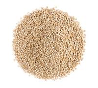 Quinoa Sans Gluten - Grain Entier du Pérou Source de Protéines