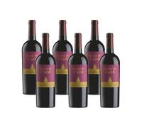 Quinta de Cidrô Cabernet Touriga Nacional - Vin Rouge - Lot de 6