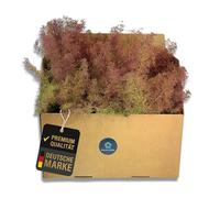 Quintcom Mousse de mer/Émoos de mer Modélisme Accessoires Matériel végétal pour arbres et buissons dans les forêts de modélisme. Sea Moss pour maquette d'arbres Carton 30 cm x 20 cm x 14 cm Arbres