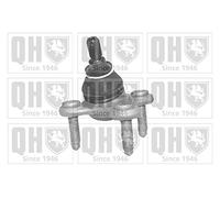 QUINTON HAZELL QSJ3295S Rotule de suspension Compatible avec VW Golf VII 3/5 portes 5G1, BQ1, BE1, BE2 Golf IV 3/5 portes 1J1 Golf V 3/5 portes 1K1 Golf VI 3/5 portes 5K1 Tiguan I 5N Touran I 1T1, 1T2