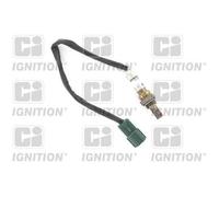 QUINTON HAZELL XLOS1579 Sonde lambda pour RENAULT Espace IV (JK, JK0/1)