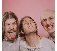 Quit Your Dayjob - Tools for Fools [Import]