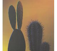 Quitapenas - Mas Tropical/Que Te Pasa [Vinilo]