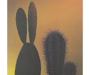 Quitapenas - Mas Tropical/Que Te Pasa [Vinilo]