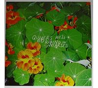 Quivers - Well Go Riding on The Hearses [Import]