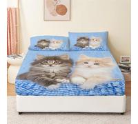 Quixora Drap Housse 140x190 Motif Chat Animalier Housse de Matelas, Enfants Protection de Matelas 30cm, Antidérapants Résistant aux Rides Drap Housse Set en Microfibre avec Taies d'oreiller x2