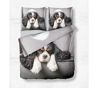 Quixora Parure De Lit pour Impression 3D Cavalier Roi Charles Spaniel Thème Housse De Couette 240 x 220 cm en Microfibre pour Adultes Enfants De Literie Et Taie d'oreiller 50x75 cm avec Fermeture