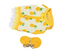 Qukaim Ensemble de harnais pour petit animal avec gilet et laisse, ourlet en dentelle imprimé fruits, design crochet et boucle, harnais pour petit animal pour chinchilla et furet, taille M