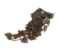 Qukaim Plante aquatique en plastique imitation de feuilles de rotin, rotin artificiel en plastique pour aménagement paysager d'aquarium, décoration de boîte pour animaux domestiques, 30,5 cm de long,