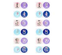 QUMIIRITY Autocollants Étape Importante Bébé Fille 24pcs Fleurs Colorées Papier Adhésif sans Odeur pour Photographie -né Moments Clés