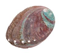 QUMIIRITY Coquille D'ormeau Artisanat 11-12 Cm Récipient à Brûler pour Décoration De Coquillage Naturel Support pour Huile Essentielle Décor De Maison Élégant