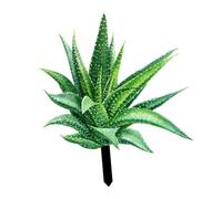 QUMIIRITY Piquet de Jardin Acrylique Aloe Vera Décoration Extérieure pour Pelouse Terrasse et Ornement Aux Intempéries pour Aménager Votre Espace