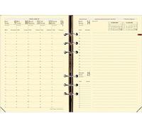 QUO VADIS - 1 Recharge pour Organiseur Timer 21 Prestige, Grille Horizontale, 16 mois Septembre 2025 à Décembre 2026 - Format 15 x 21 cm