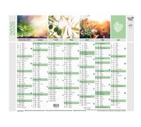 Quo Vadis Calendrier mural annuel Equology - 27 x 21 cm - 2026