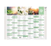 Quo Vadis Calendrier mural annuel Equology - 27 x 21 cm - 2027