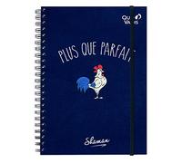Quo Vadis - Carnet de notes - Spiralé - Shaman - Plus que parfait - Pages Non lignées - 15x21 cm - Papier Clairefontaine blanc - Fabrication française