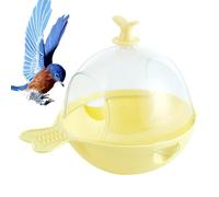 Quorvex Bain pour Perruches - Grands Jouets Interactifs Suspendus - Jouets pour Cage à Oiseaux pour Perroquets | pour Intérieur Maison Calopsitte Pinsons Perruches Canaris Inséparables Jeu Grands et