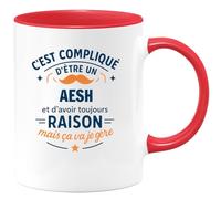 quotedazur - Mug C'est compliqué d'être un AESH et d'avoir toujours raison, mais ça va je gère - Tasse Cadeau AESH Homme - Rouge/Céramique